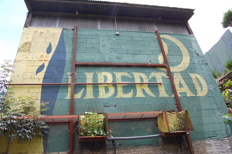 Libertad - Costa Rica